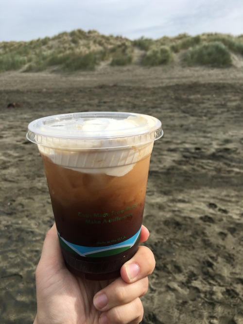 The Snowy Plover iced coffee from Andytown coffee roasters in SF, surprisingly fizzy and refreshing! recommended!