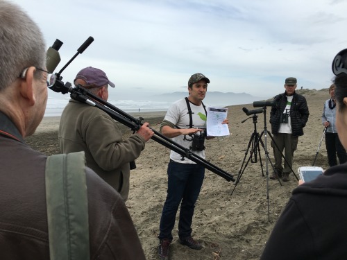 Brent talks about the new dog leish proposal and how it could help save the Snowy Plover