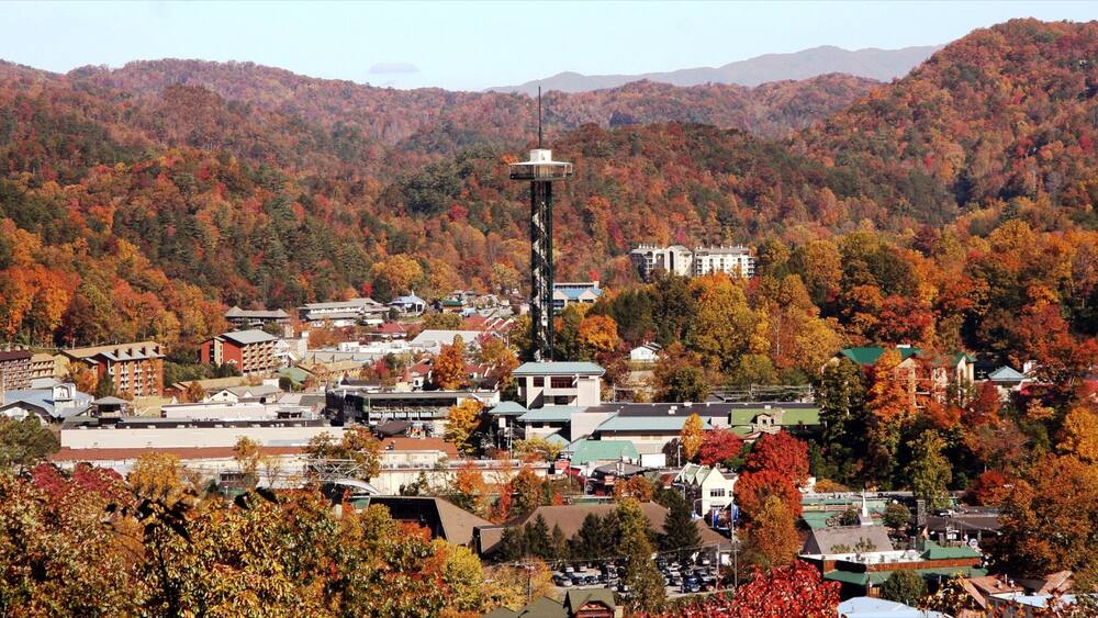 Gatlinburg featuring forests and a small town or village
