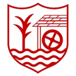 Ballyclare Comrades FC logo