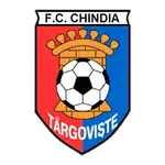 CF Chindia Târgovişte logo