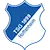 Hoffenheim logo