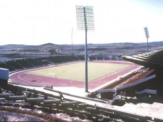 Prince Sultan bin Abdul Aziz Stadium