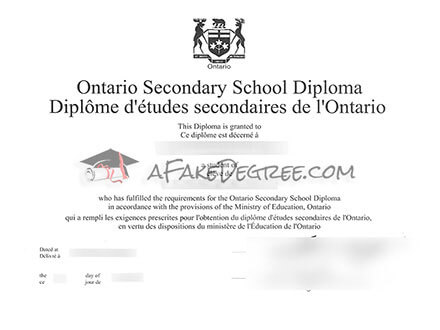 Buying a fake OSSD diploma