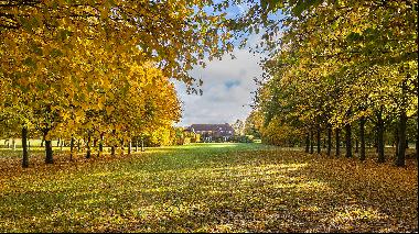 The English country home that has been transformed into a magnet for wildlife