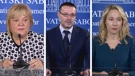 Anka Mrak Taritaš, Arsen Bauk, Marija Selak Raspudić