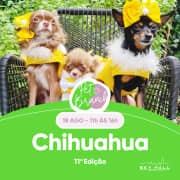 Pet Brunch 11ª Edição  - Chihuahua | Sky Hall Terrace