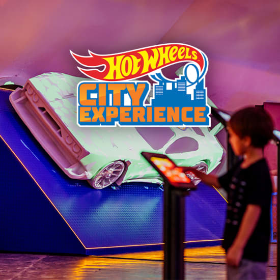 Hot Wheels City Experience - São Paulo