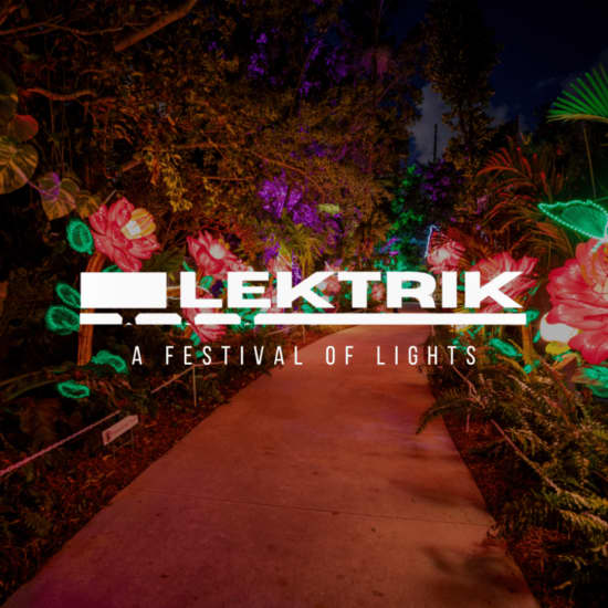 Lektrik: Un Festival de Luces - São Paulo