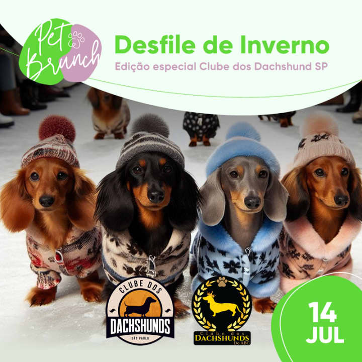 Pet Brunch 9ª Edição  - Clube dos Dachshund SP | Sky Hall Terrace