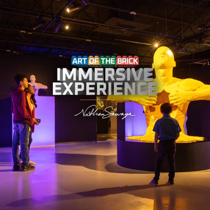 The Art of the Brick Immersive Experience