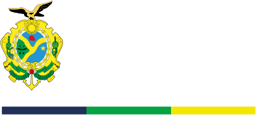 Bras�o Governo do Amazonas