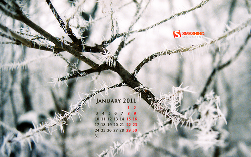 Smashing Wallpaper - January 2011