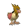 Spearow