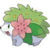 Shaymin