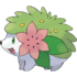 Shaymin