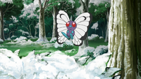 Goh's Butterfree