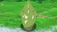 Goh's Metapod