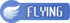 FlyingIC PE.png