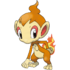 Chimchar