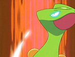 Tyson Sceptile Detect.png