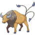 Tauros