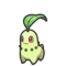 Chikorita