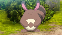 Goh's Sentret