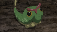 Goh's Caterpie