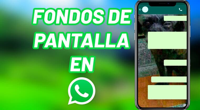 Imagen de Te cuento como poner un fondo de pantalla diferente para cada uno de tus contactos de WhatsApp