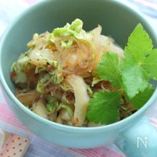 ちゅるっと美味しい♪春雨煮込みまとめ