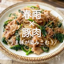 「春雨×豚肉」30選｜うま味が染みこむ！