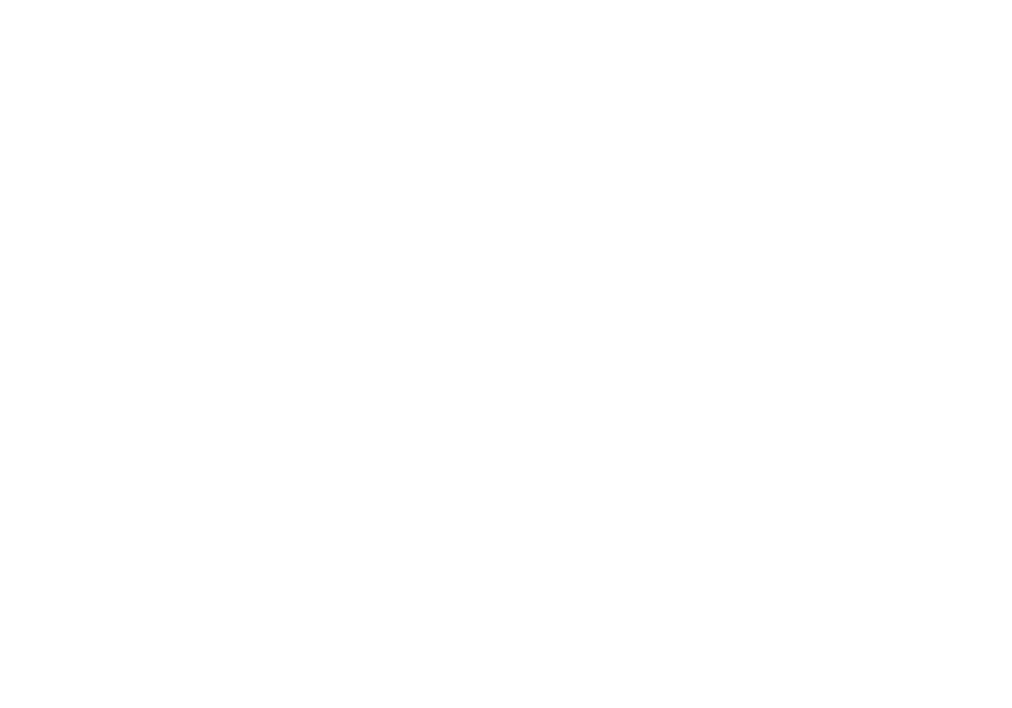Logo de PRITS