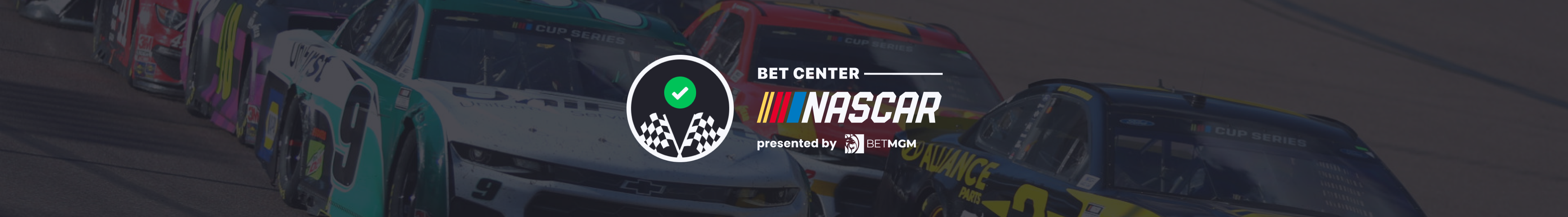 nascar-banner