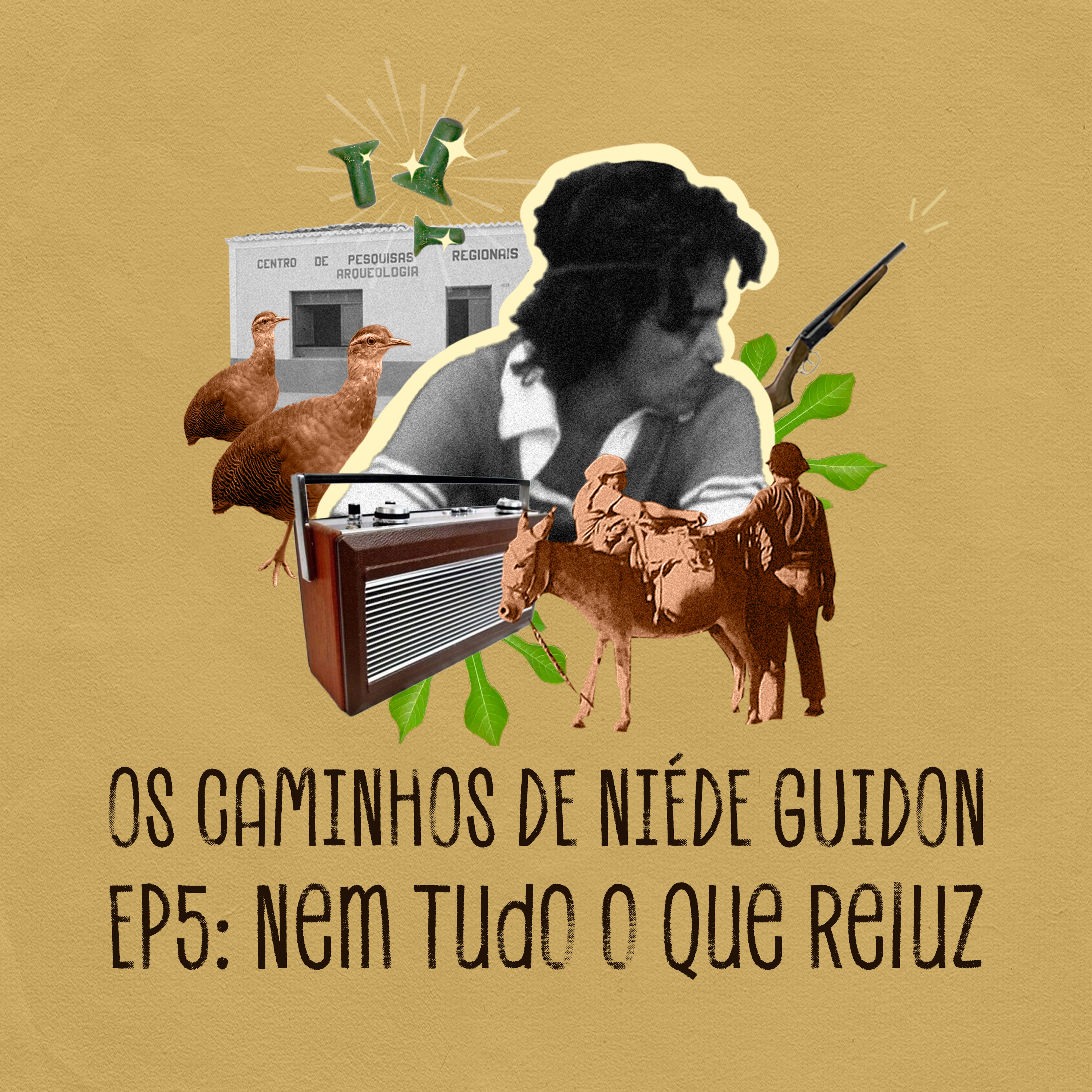 Capa - Nem Tudo o que Reluz