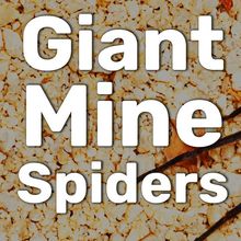 a mine spider on gravel.