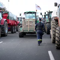 Manifestation d’agriculteurs qui bloquent l'autoroute A15 à Argenteuil pour obtenir de meilleures conditions de travail © Djoudi Hamani / Hans Lucas