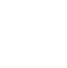 Y&M_Reverse