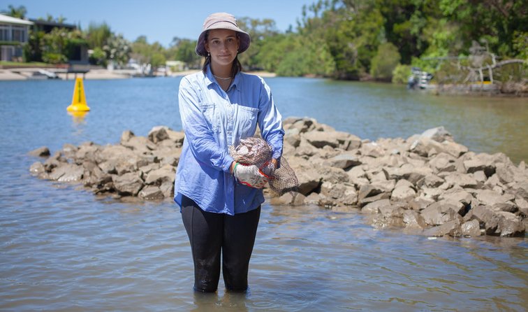 The Oyster Gardener