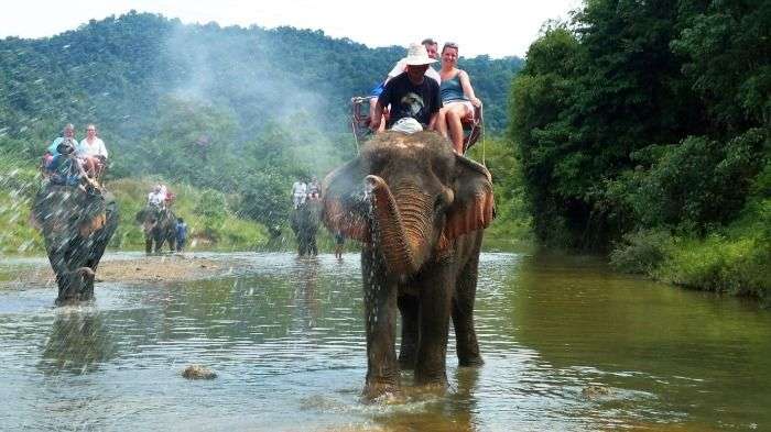 Enjoy Elephant Safari at Mount Harriet, Port Blair