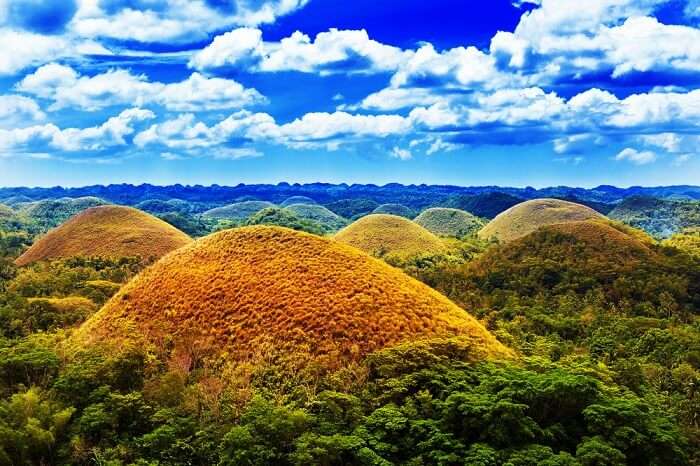 Chocolate Hills in Bohol