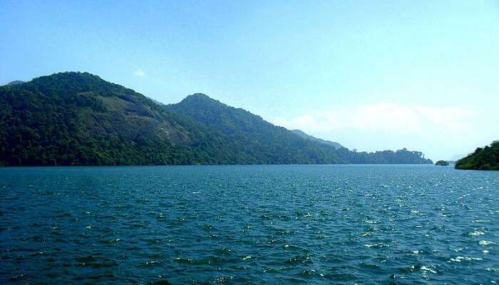 Thenmala is nestled amidst the lush green vegetation of the Western Ghats