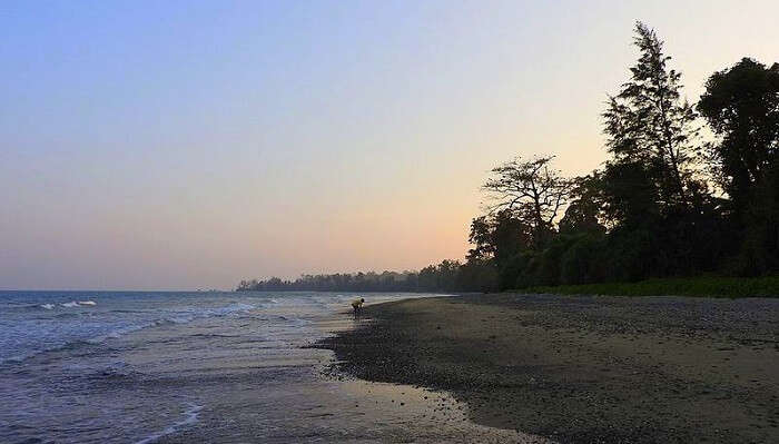 amkunj - rangatbeach