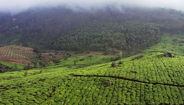 Quaint town of Devikulam