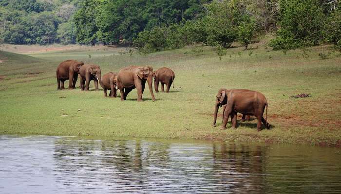 Riverside view at one of the best places to visit in Kerala