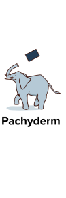 Pachyderm