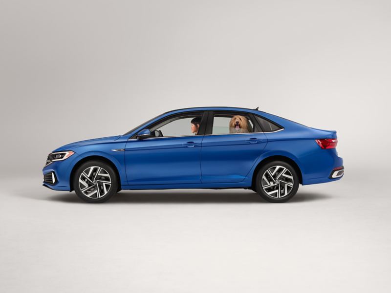 Profile view of a Jetta shown in Rising Blue Metallic parked on a white background with a person in the driver seat and a dog in the back seat.