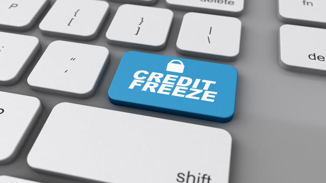 Online Credit Freeze Concept 