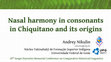 Research paper thumbnail of Nasal harmony in consonants in Chiquitano and its origins