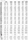 Research paper thumbnail of Syriac verb tables